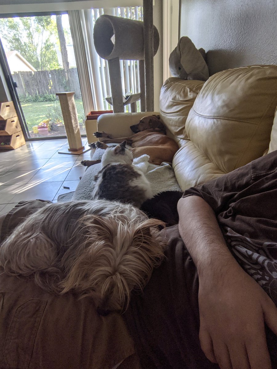 Atrophius tweet media