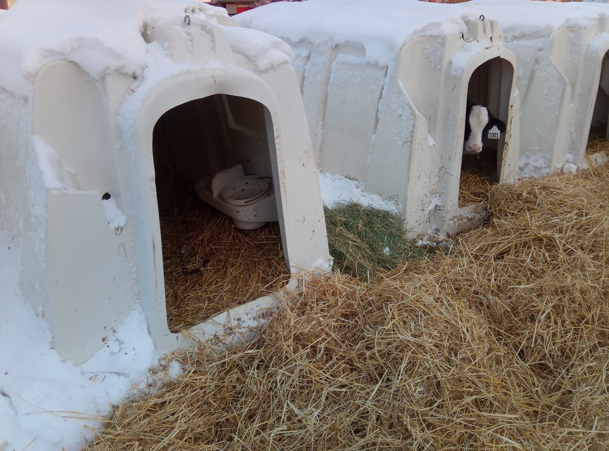 Theo VanderGun tweet media