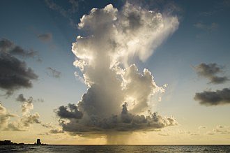 CorporateNature's tweet photo. #CorporateNature: Clouds with their silver linings and storms are like #Cities with their opportunities and hardships. The higher you are, the more #opportunities you’ll see. https://t.co/gHF95TJJhn

#cloud, #SilverLining, #SocialStatus https://t.co/Gy13VulnJl