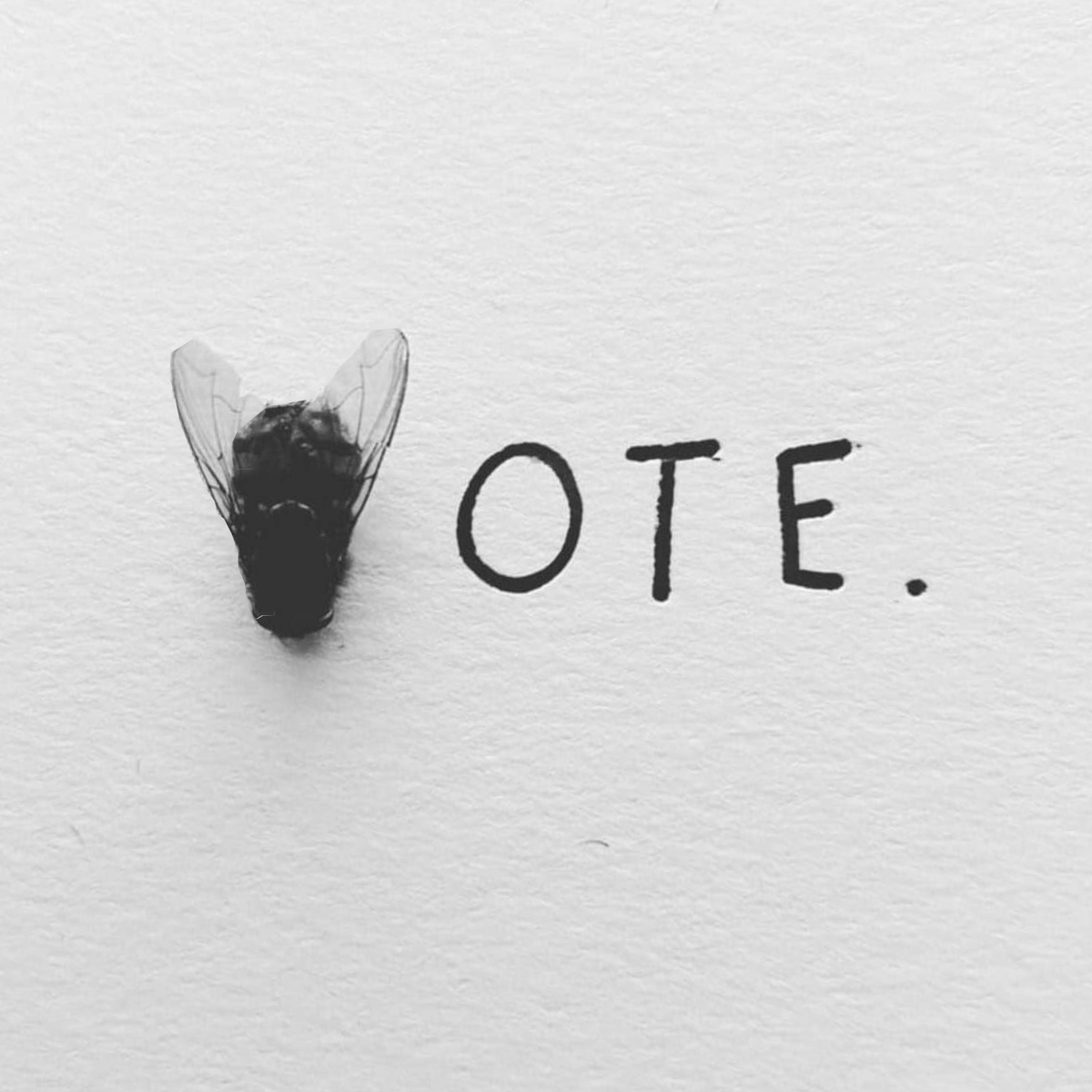 Make a plan. Vote early, from the comfort of your own home where you can research those on the ballot. Hand deliver your ballot if you are able. Or mail in now. Do not wait. Leave nothing to chance. #vote