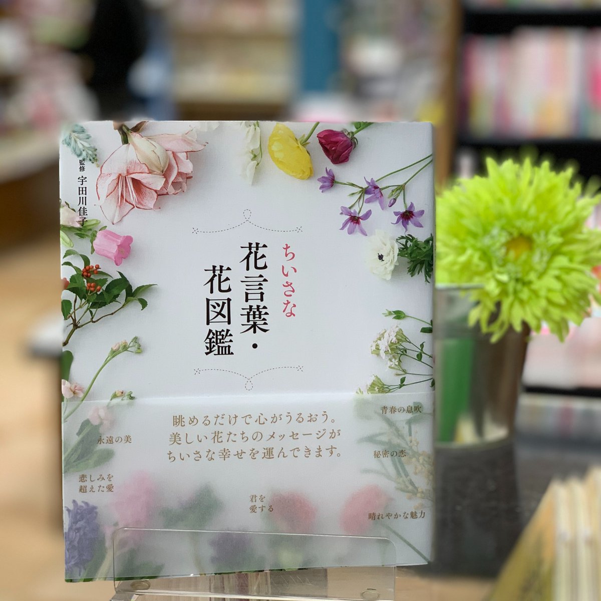 オリオン書房 ノルテ店 本を贈ろう ちいさな花言葉 花図鑑 自由国民社 きれいな写真と花言葉 そしてその花 にまつわる豆知識が載った美しい本 カラフルで贈り物にはぴったり 花や自然を愛する人におすすめです 婦人実用 M 本の日