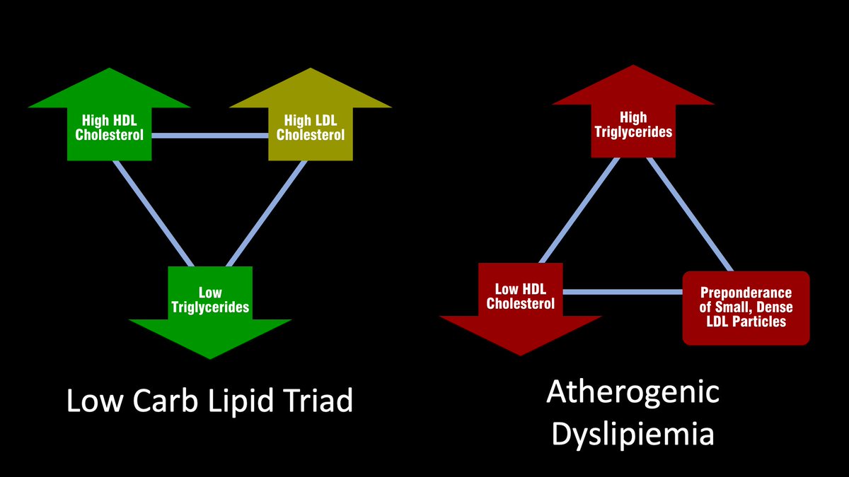 10/ You'll hear me talk about these two lipid profiles a lot because I think they are fundamental to our understanding of disease and how it impact lipid levels.