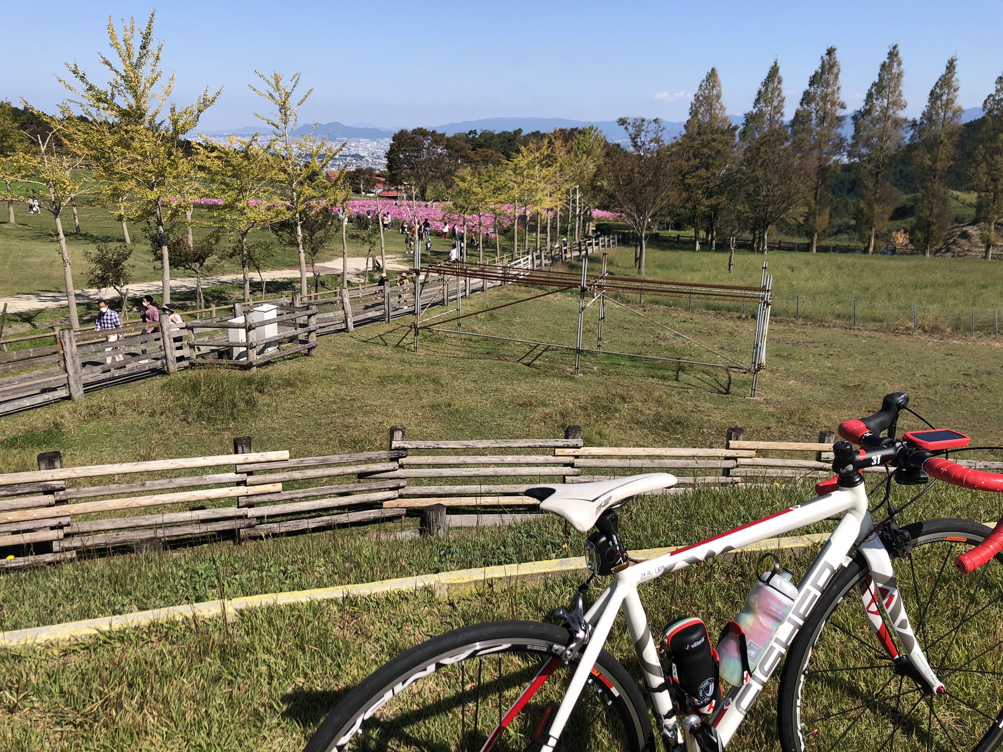 も ー も ー らんど 自転車