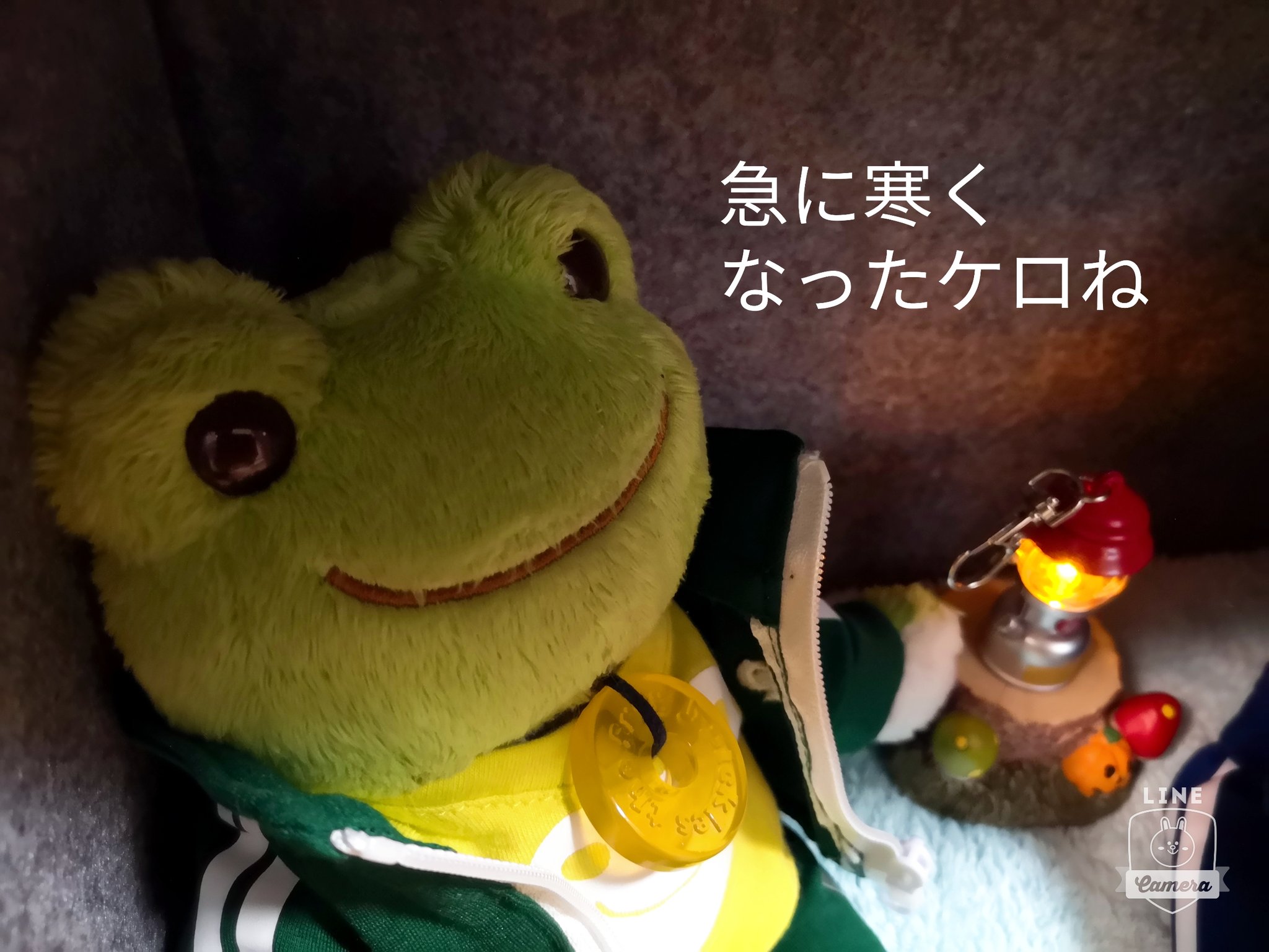 ミルミルさん 足だけ温めるミニパネルヒーターを導入したケロ さっそくぼくらのハロウィンハウスにしたケロよ みんな遊びに来るといいケロ ケロ太 アンブル パネルヒーター かえるのピクルス ピクルスザフロッグ カエル 青蛙