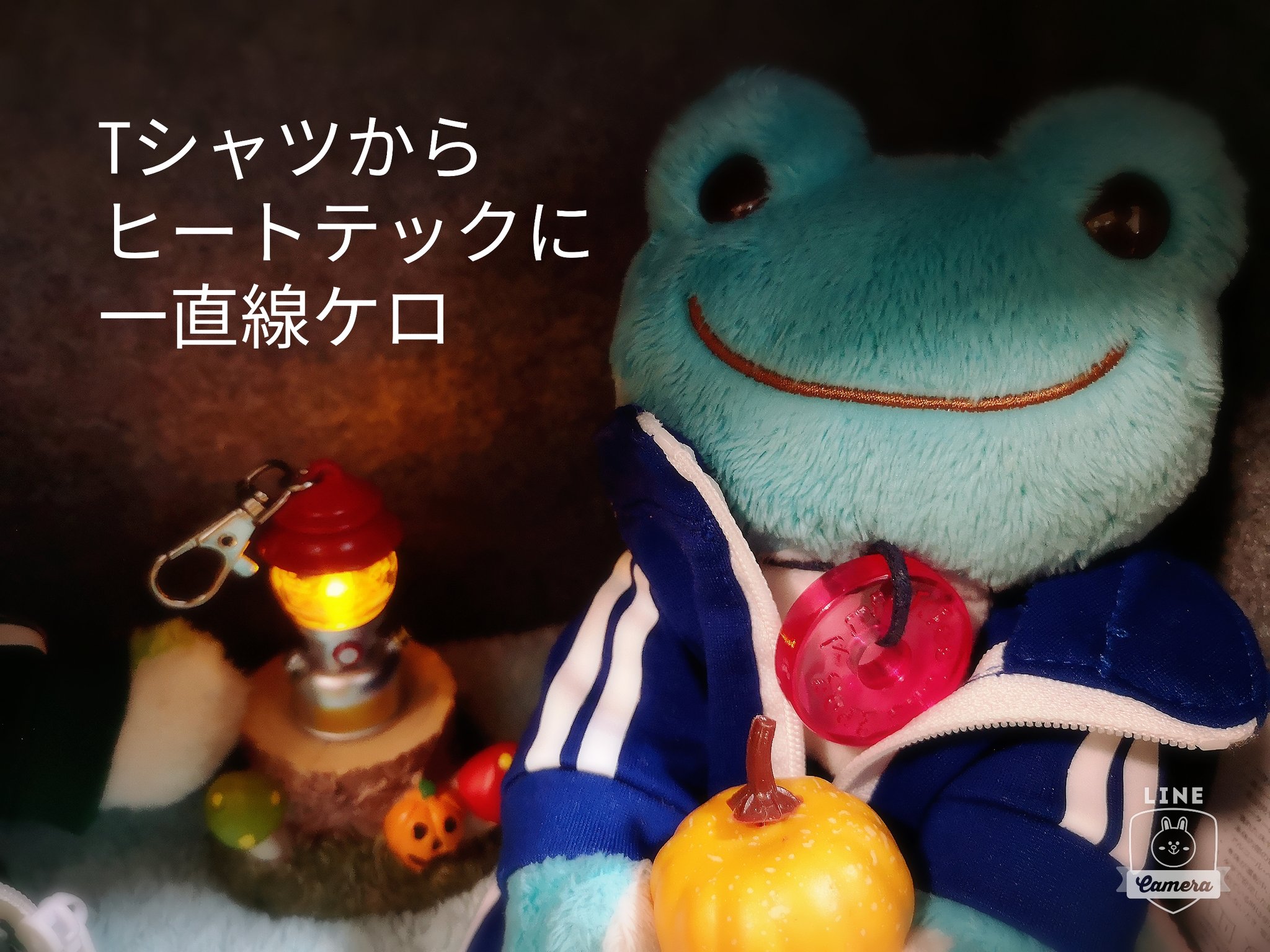 ミルミルさん 足だけ温めるミニパネルヒーターを導入したケロ さっそくぼくらのハロウィンハウスにしたケロよ みんな遊びに来るといいケロ ケロ太 アンブル パネルヒーター かえるのピクルス ピクルスザフロッグ カエル 青蛙