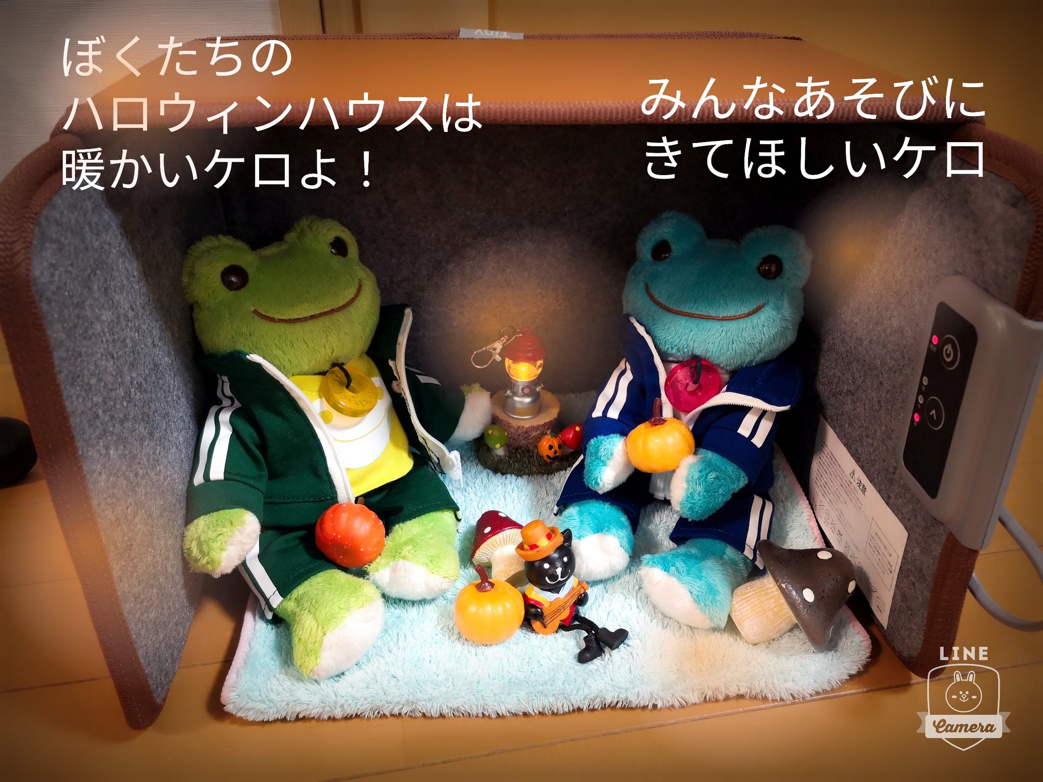 ミルミルさん 足だけ温めるミニパネルヒーターを導入したケロ さっそくぼくらのハロウィンハウスにしたケロよ みんな遊びに来るといいケロ ケロ太 アンブル パネルヒーター かえるのピクルス ピクルスザフロッグ カエル 青蛙