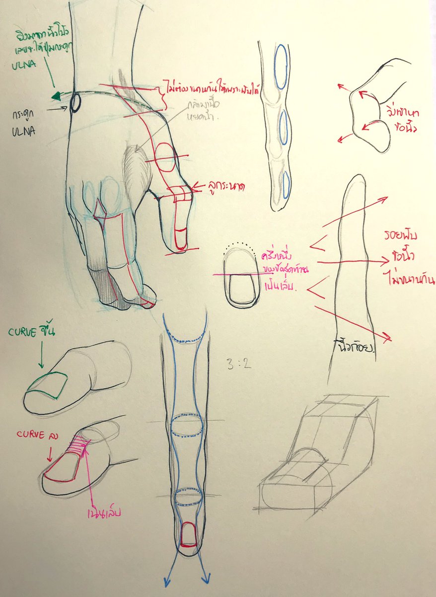 opormore's tweet photo. มาแชร์ความรู้เรื่องการวาดนิ้วที่เคยเรียนมาจากครูอาร์ต (Art of Anatomy) หน่อย ถ้ามีดีเทลพวกนี้แล้วมันทำให้มือที่วาดออกมาสวยดูสมจริงขึ้น ส่วนตัวคิดว���าการวาดมือได้สวยๆมันเป็นเสน่ห์ดึงดูดให้ชวนมองด้วยนะ

ใครสนใจไปเรียนคลาสวาดมือของน้องอาร์ต ก็ลองเช็ครอบสอนใน FB: Art of Anatomy ดูน้า https://t.co/z5XiNhXAuY