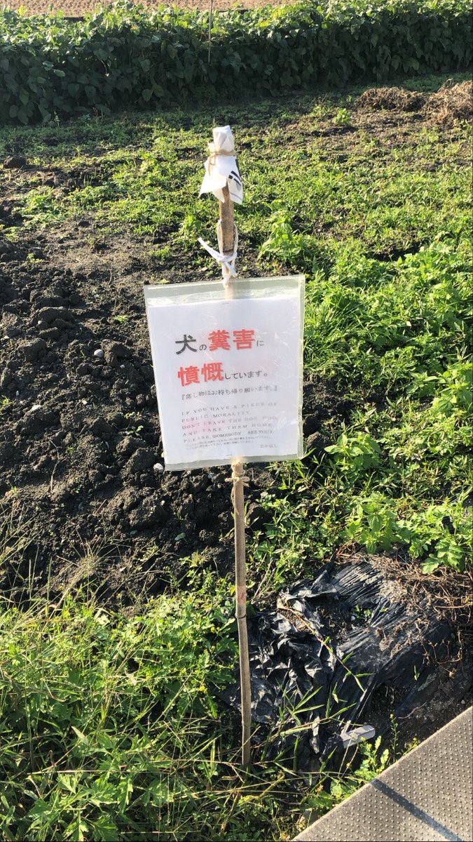 mochimm09's tweet photo. だってさ。
糞害に憤慨してるらしいので
気をつけましょう。😗
にしてもうまい https://t.co/HD33kCrXTD
