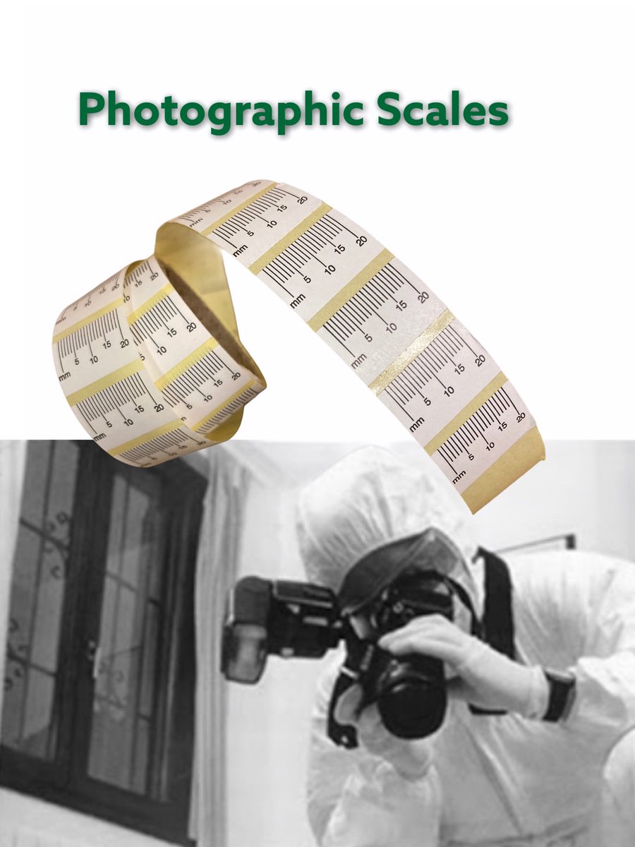 tetra scene of crime international tweet media