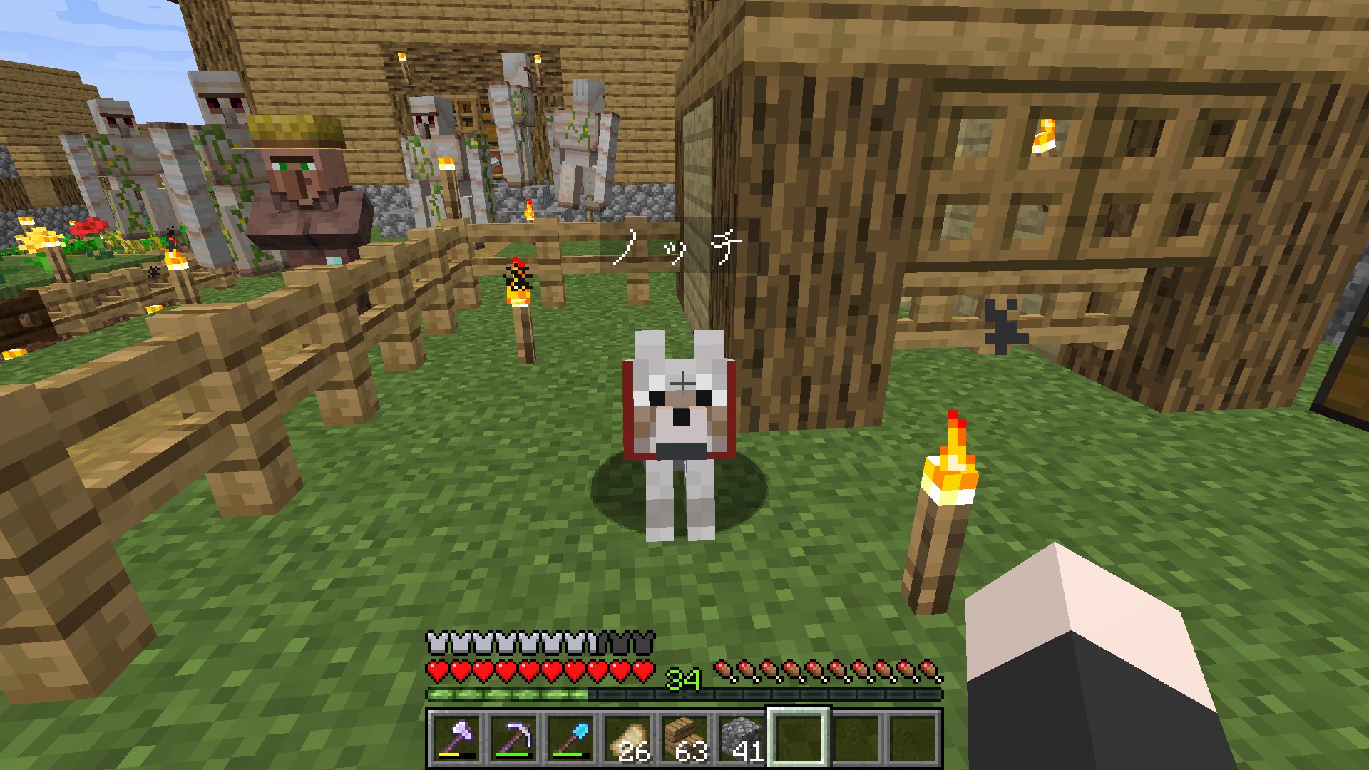 ルー Mhライダーズ大好き ペット飼ってみました ノッチはマイクラの生みの親から ルーベンはマインクラフトストーリーモードの子ブタから名付けました 小屋も作ったのですが アイアンゴーレムが侵入するのでこの後柵の角を削ることに マイン