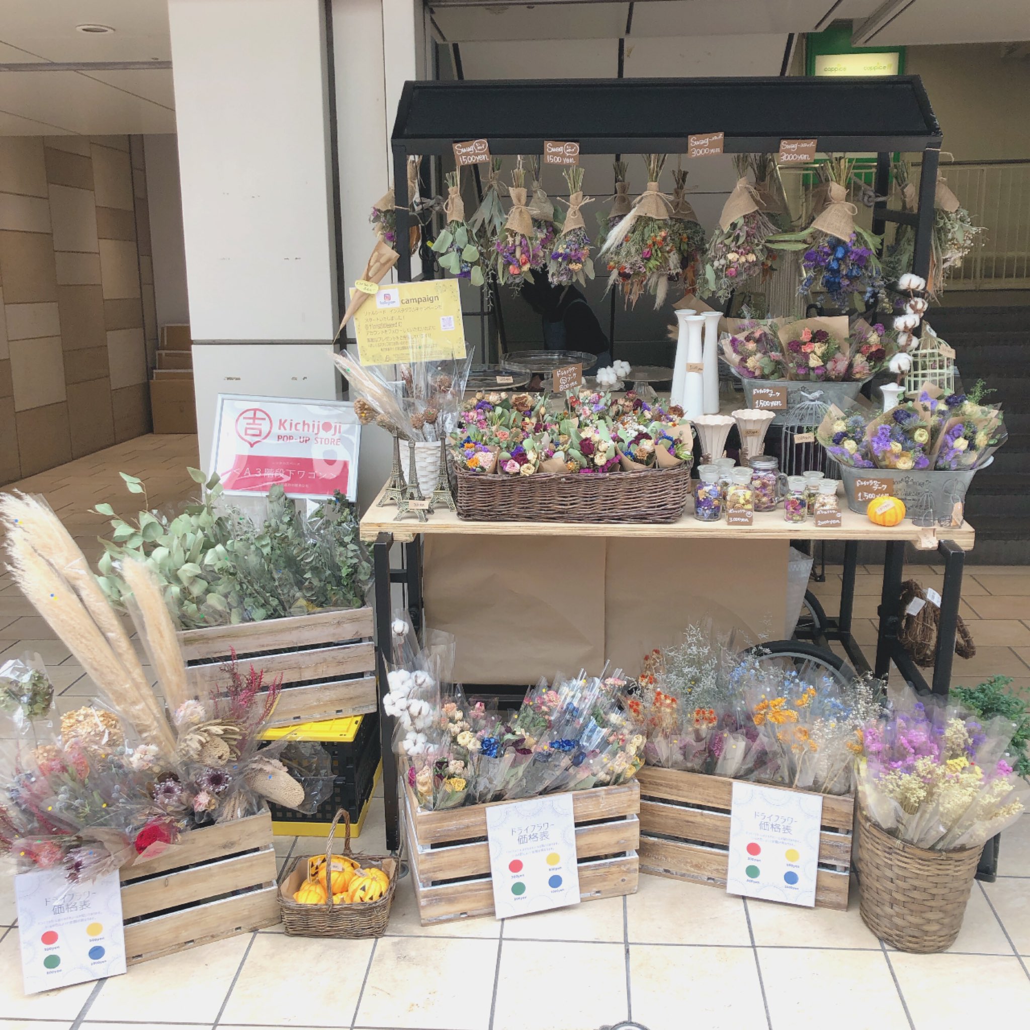 Floristlittleseed 武蔵野市開発公社が貸し出しているコピス吉祥寺a3階段前にて ドライフラワー の販売をいたします 単品花材から スワッグ ミニブーケなど 様々な商品をご用意いたします 本日 最終日です ドライフラワーショップ ドライ