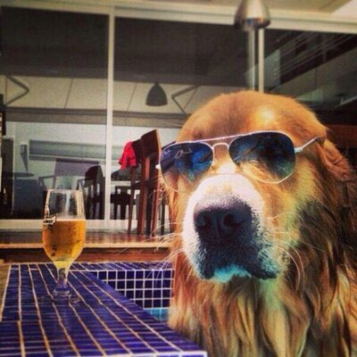 LosBuenosTuits's tweet photo. COMO INICIÉ 😎 |  COMO VOY 🥴 https://t.co/yHBruhy5PY