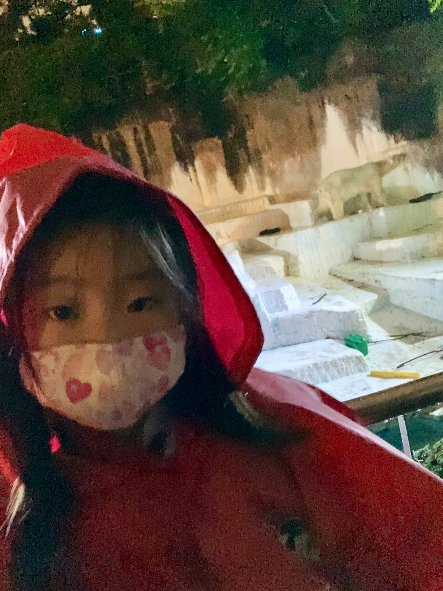 天王寺動物園ナイトズー Twitter Search Twitter