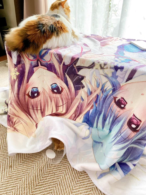 冬用毛布をミニ机に
かぶせましたฅ^•ω(•)^ฅ?
もふもふもふー
寒くなりましたね? 