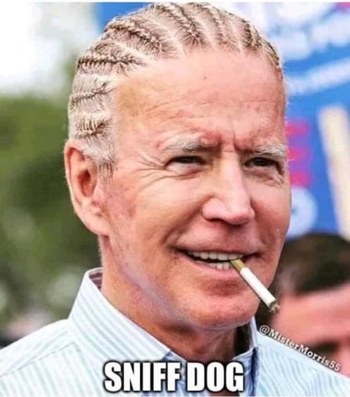Hope4America23's tweet photo. @CandyComedy @Bribaru @Boon_Island_ME @BreitbartNews But our alternative is this guy🤷🏽‍♂️ https://t.co/8tS6nzJg7S
