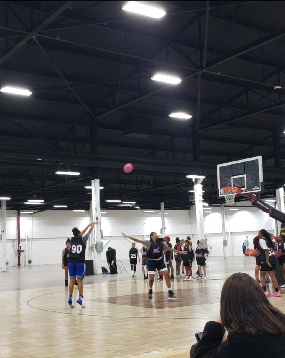 LMann54's tweet photo. Friday Night grind session in PA! Always remain a student of the game and thankful for the opportunities for @itsjcmanz_ to improve and showcase her talent. #hooplyfe ๐๐๐ @risingbluestar1 @MikeFlynn826 https://t.co/edlEYFmw1h