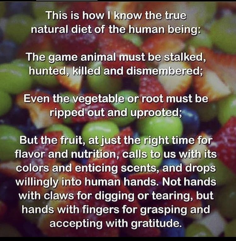 #nocaptionneeded #gogovegan #fruitarian #fruitislife