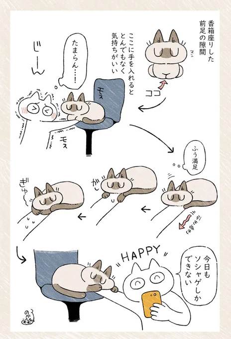 ソシャゲが捗る #シャム猫あずきさんは世界の中心 
