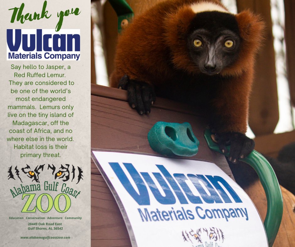 ALGulfCoastZoo's tweet photo. Please join Jasper and the Zoo as we celebrate our new supporter, @Vulcan Materials, for their generous contribution to our Covid &amp; Sally relief efforts.  Thank you, Vulcan Materials!   #DamagedNotBroken #VulcanMaterials #ThankfulForAWonderfulCommunity https://t.co/z19xDdcmDg