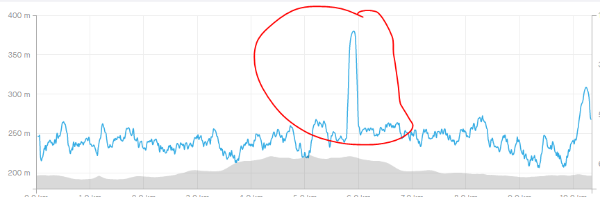 When you suddenly meet a lion on your morning run!
