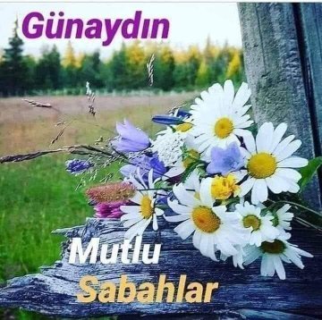 HızırReis8484 (@hzr841) on Twitter photo 