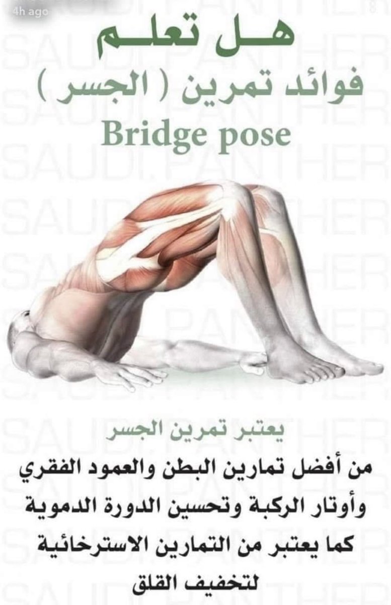 ahmed29117312's tweet image. #كل_يوم_معلومة