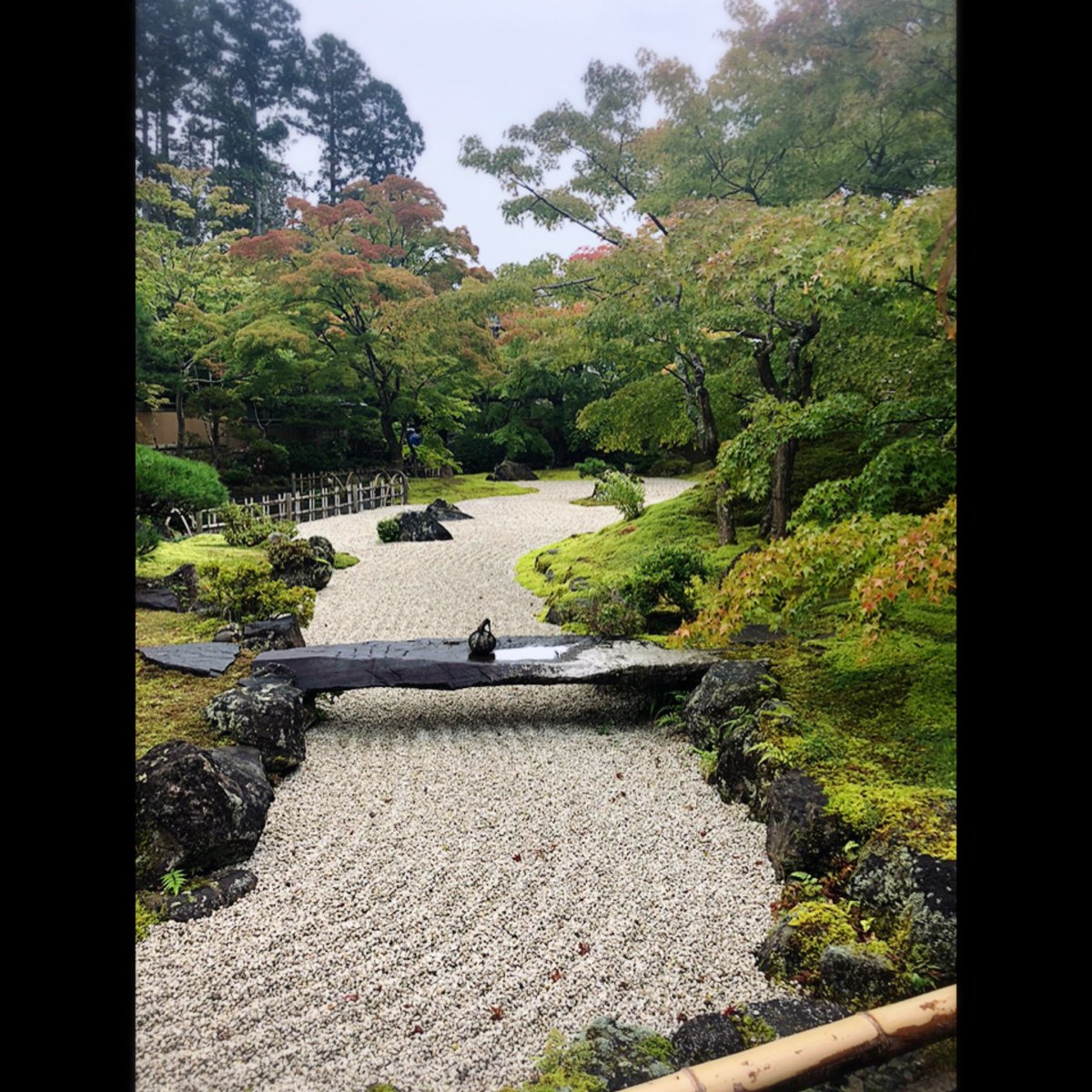 bravemayu's tweet photo. 着物で歩く円通院~瑞巌寺👘🚶♀️
#여행 #trip #travel #korea #旅行 #미야기 #마쓰시마 #宮城 #松島 #松島海岸 #기모노 #着物 #Zuiganji #japanesetemple #Entsuin #kimono #円通院 #瑞巌寺 #일본여행 #즈이간지 #엔츠인 #gototravel #マスク暑い https://t.co/E1iBYkcD4s