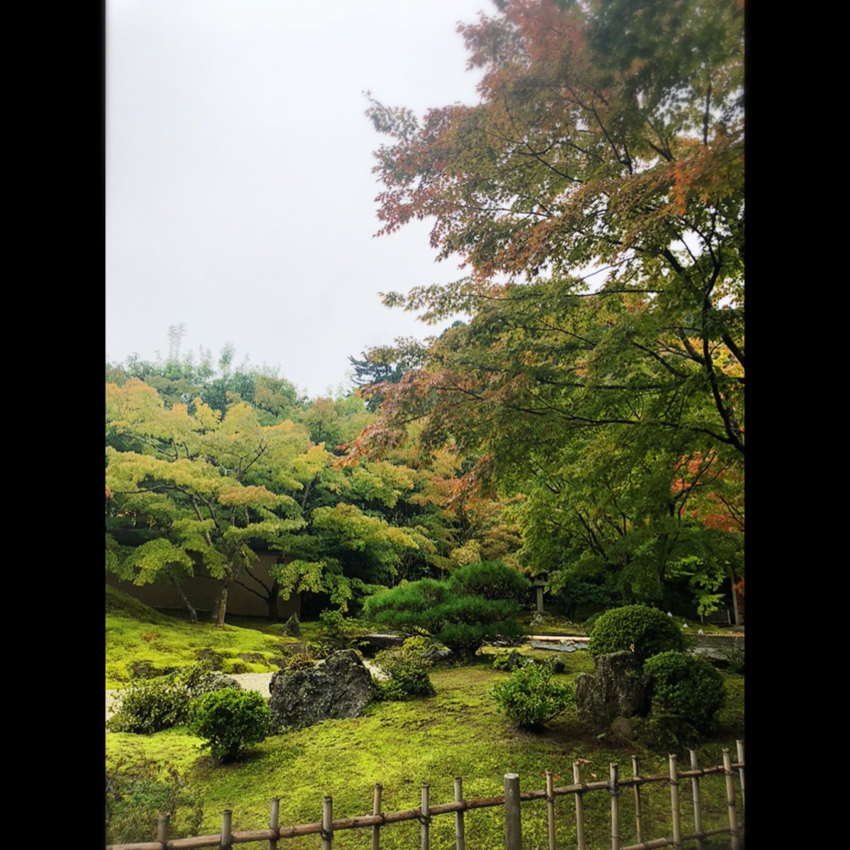 bravemayu's tweet photo. 着物で歩く円通院~瑞巌寺👘🚶♀️
#여행 #trip #travel #korea #旅行 #미야기 #마쓰시마 #宮城 #松島 #松島海岸 #기모노 #着物 #Zuiganji #japanesetemple #Entsuin #kimono #円通院 #瑞巌寺 #일본여행 #즈이간지 #엔츠인 #gototravel #マスク暑い https://t.co/E1iBYkcD4s