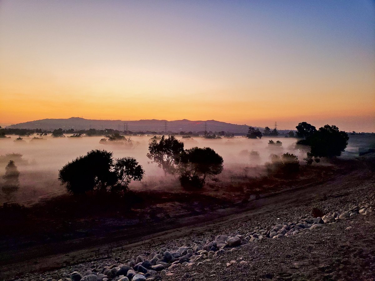 Christian_Knows's tweet image. 