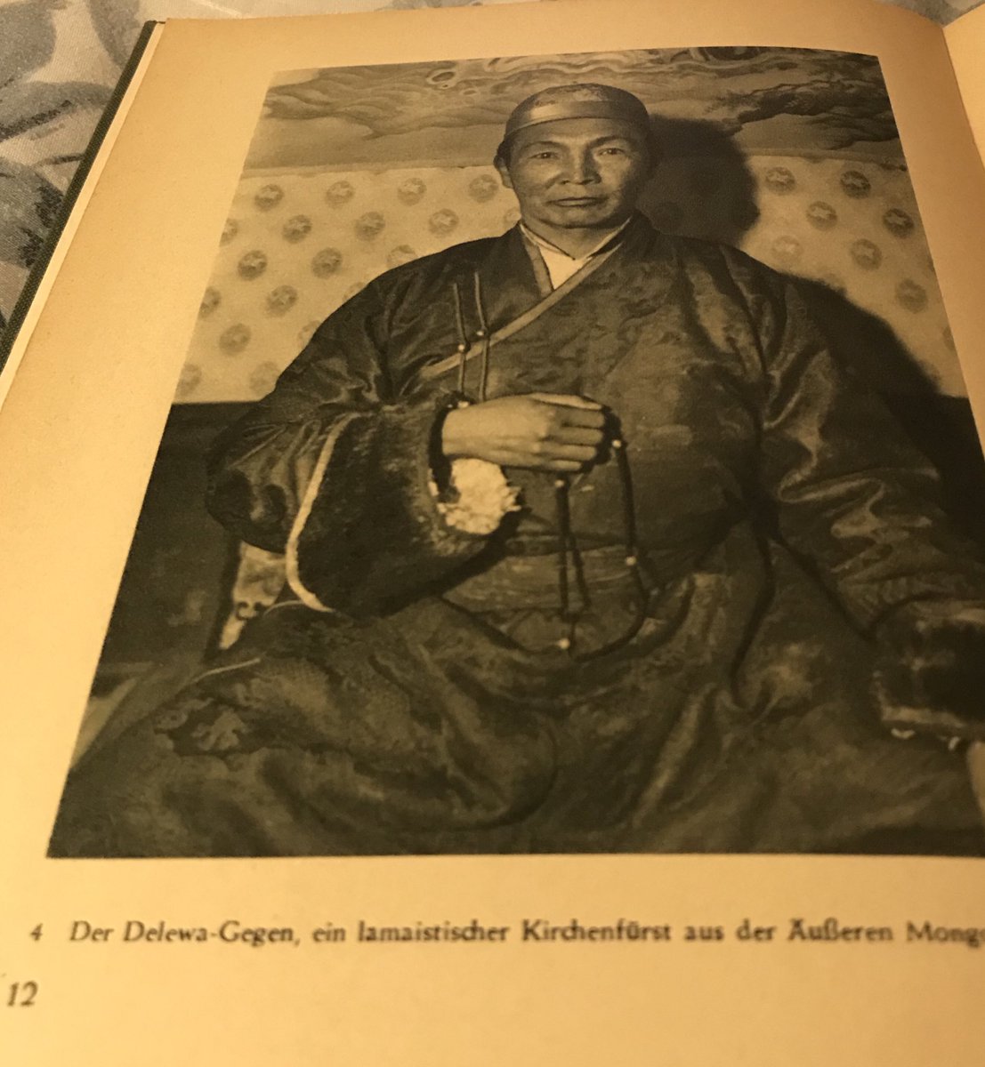 Волтер Бошард гуайн номын 2 дахь хэвлэлд Дилова хутагтын урд үзээгүй зураг нэмж оржээ. Энэ эрхи одоо хэнд очсоныг нь мэднэ. Миний бичиж буй номд Дилова хутагтын талаар чамгүй юм орно. Чойжилсүрэн ахын судалгаан дээр нэмэр болж юу магад.