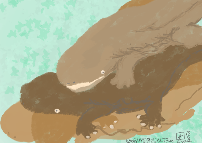 ミルフィーユオオサンショウウオのtwitterイラスト検索結果 ミルフィーユオオサンショウウオのtwitterイラスト検索結果