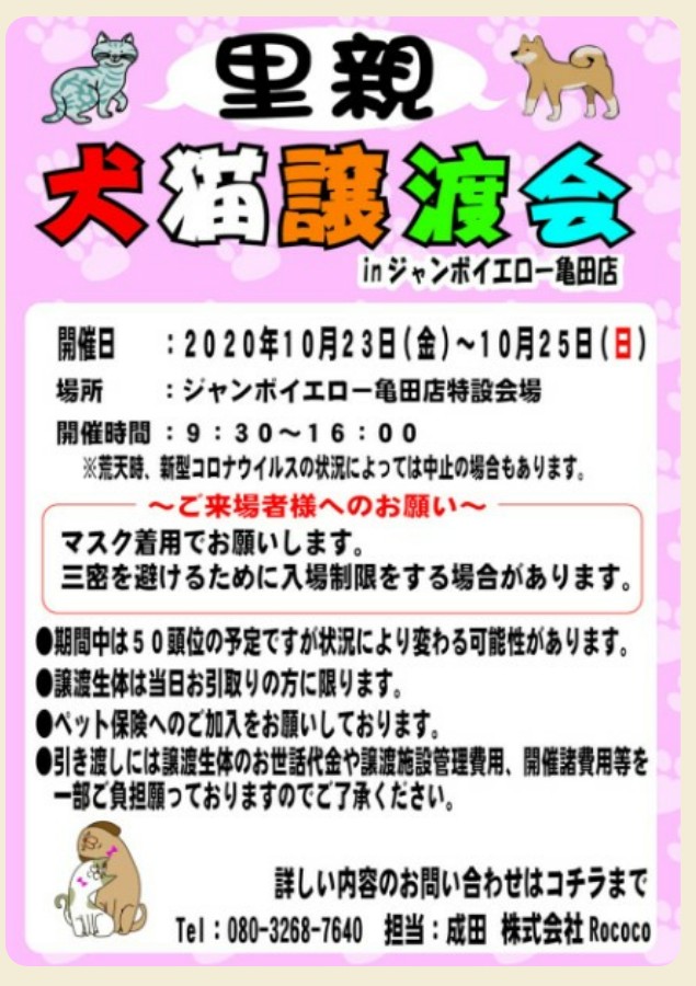 あっき 犬猫里親譲渡会のお知らせ 10 23 金 10 25 日 ジャンボイエロー亀田店で犬猫里親譲渡会を開催します 時間 9時30分 16時 場所 ジャンボイエロー亀田店特設会場 荒天時 新型コロナウイルスの状況によっては中止の場合もあります T Co