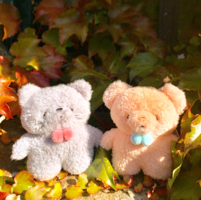 サンレモンさん がハッシュタグ 函館 をつけたツイート一覧 1 Whotwi グラフィカルtwitter分析