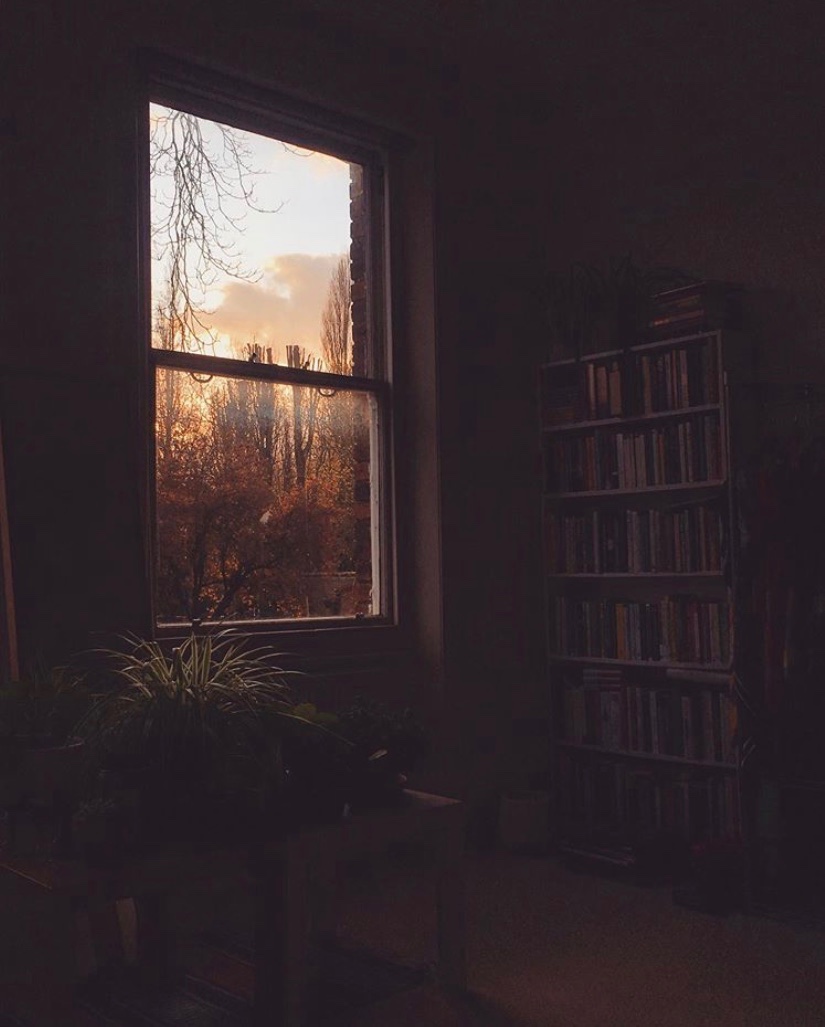 Spring, summer, autumn, winter 🌱☀️🍂❄️ x