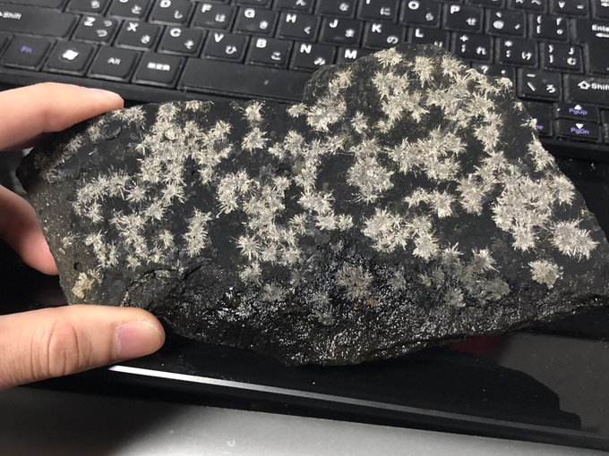 今日鉱物採集に出掛けて、変わった石を見つけました。
板状の石がミルフィーユみたく何層にもくっ付いて大きな岩になっていて、割ったら隙間に花びらの様な鉱物がびっちり付いていました。
初めて見るんですが、鉱物ガチ勢の方いましたら教えて下さい。 