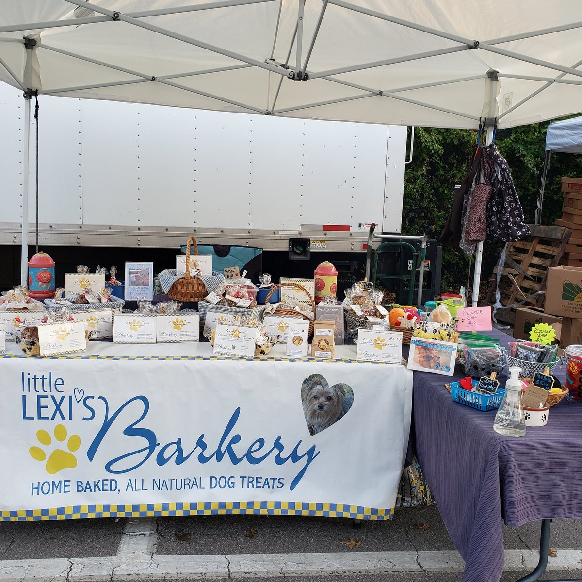 Mindy Abbruzzese tweet media