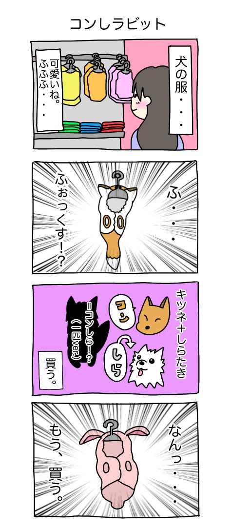 コンしラビット #コンしら 