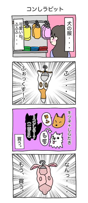 コンしラビット #コンしら 