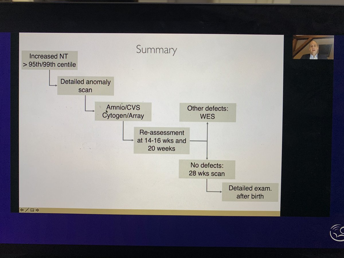 A real masterclass about first trimester screening and beyond with a good debate over Nuchal Translucency. Thank you Prof. Simon Meagher and Prof. Karl Kagan. <a href="/ISUOG/">ISUOG</a> #isuog2020 #fetalmedicine #screening