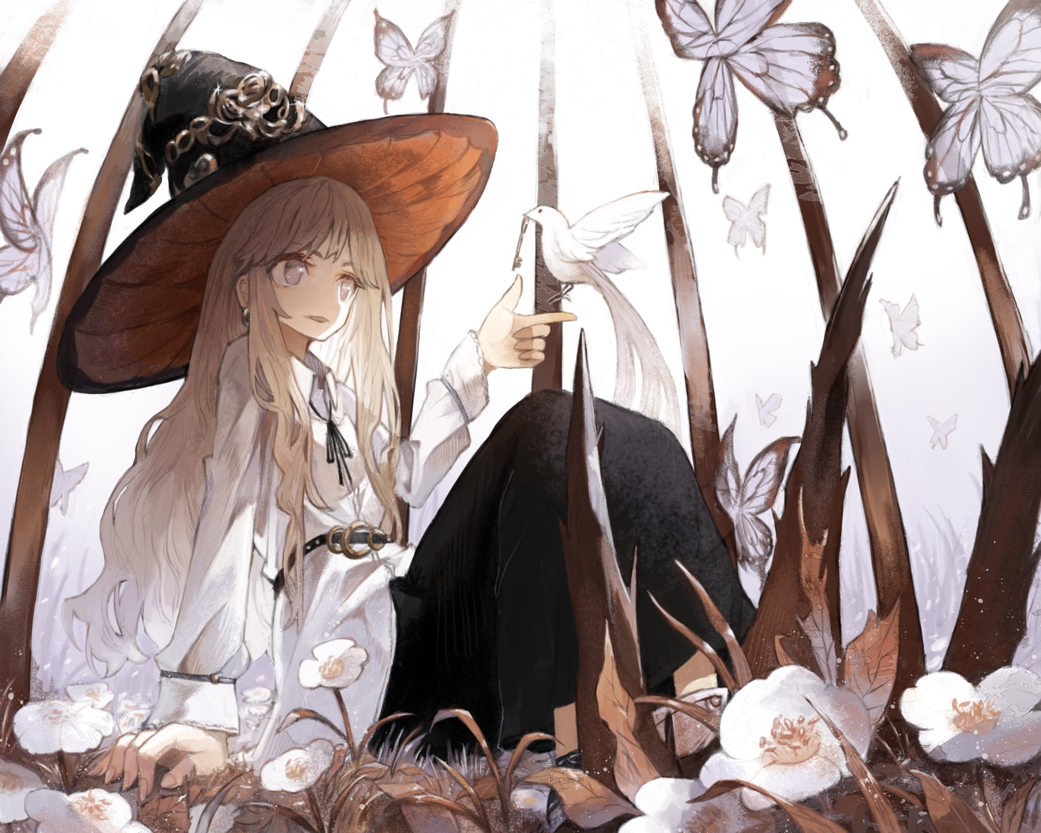 ハコ 鳥かごと魔女