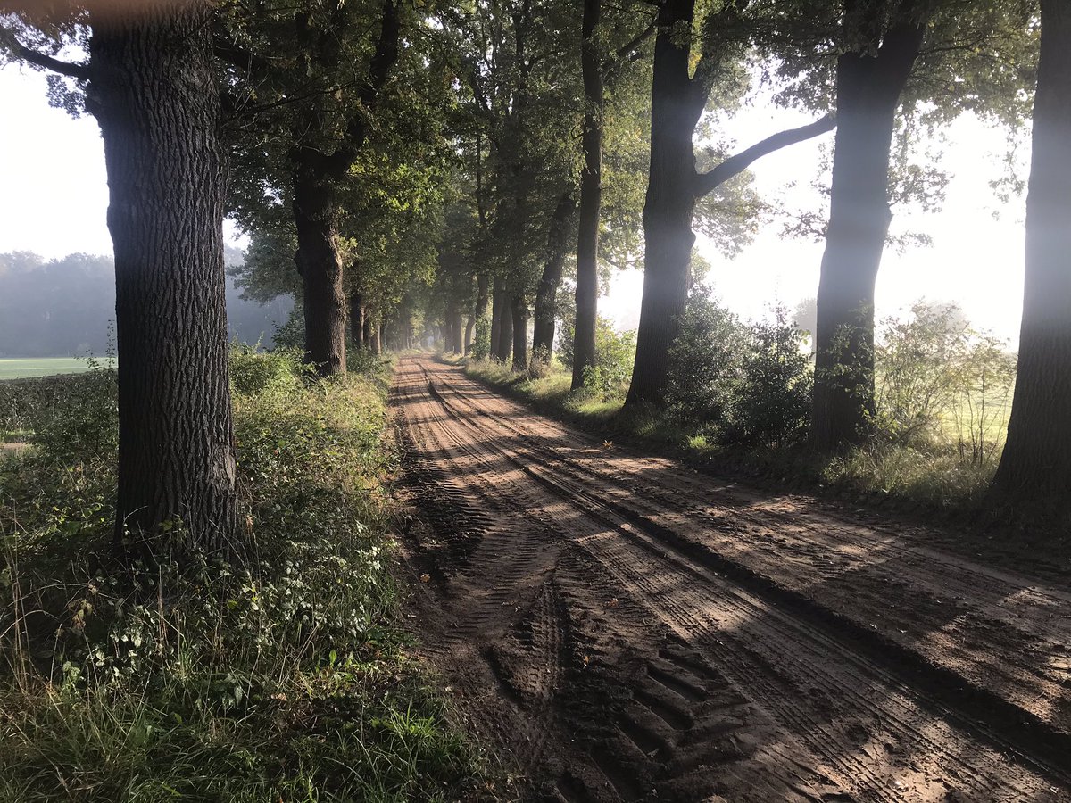 booij11's tweet photo. Heerlijke ochtendwandeling ten zuiden van de vecht; #denberg #mataram #horte #lenthe #slennebroek #sterrebos #venneberg #rechteren #millingen #denberg #dalfsen #vechtdal https://t.co/9mWkPujQgZ