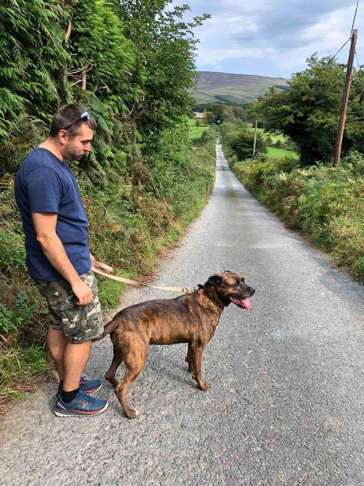 Our handsome boy Rocky has been with us far too long and we feel there is a forever home out there for him. Rocky is with us since 5 years now...
Rocky is looking for a quiet home with no children or cats. He is ok with dogs but we feel a home as an only dog would be best for him