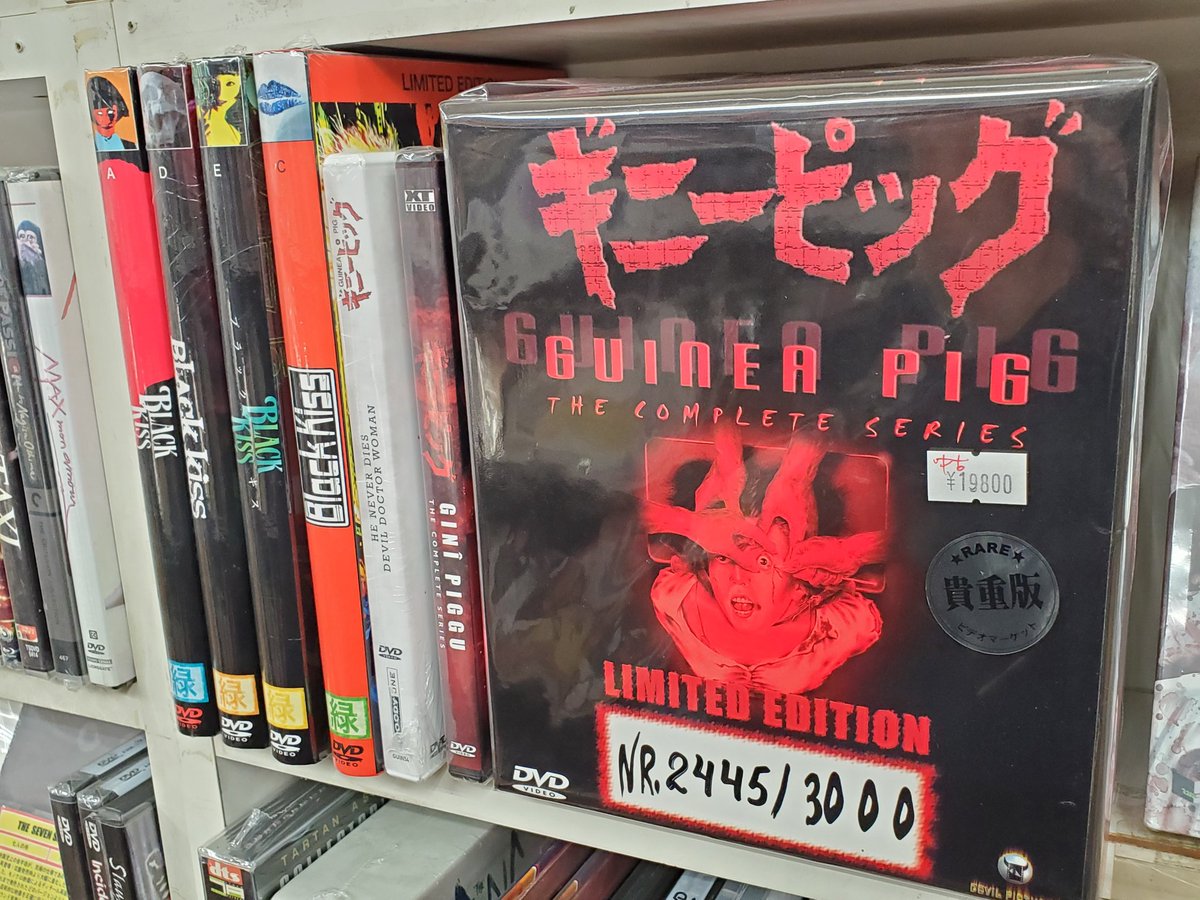 日本正式代理店 肉だるま DVD | lasgranadasoaxaca.com