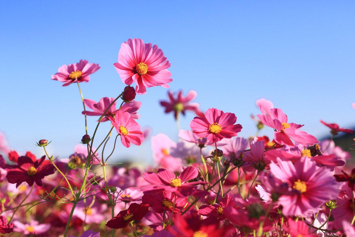 貴撮隊　宅柱　山口 tweet media