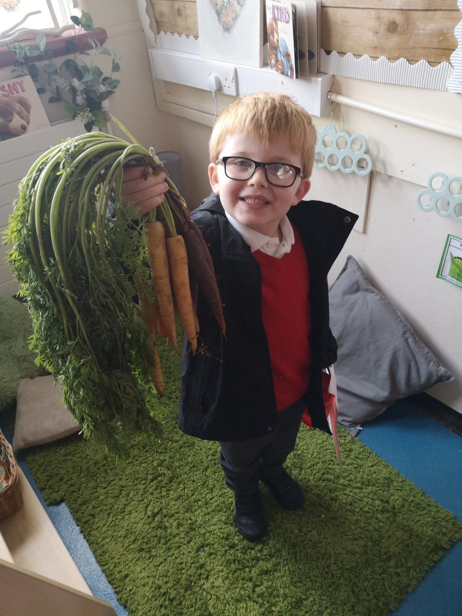 1LK loved observing and describing the carrots from @ClaremontFarm last week 😍🥕#harvest #growthandchange