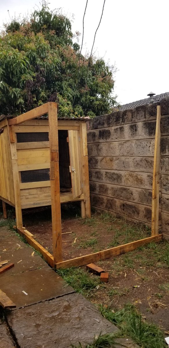 Work in progress. The cage.