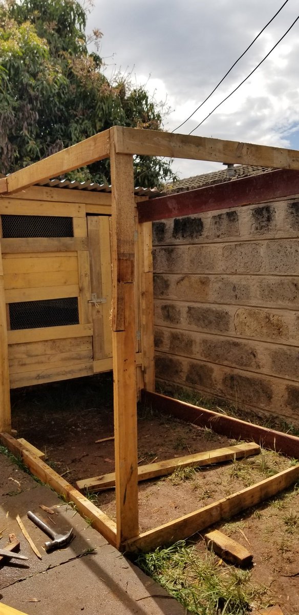 Work in progress. The cage.