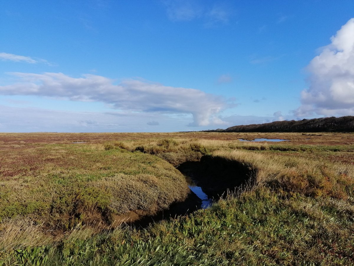 Cracking afternoon in Norfolk! Started off by ticking the Rufous Bush Chat at Stiffkey (✅), what a bird 👌🏻 Then we moved onto Holme and ended the day with Red Flanked Bluetails (✅) Other highlights included 'Eastern' Lesser Whitethroat, Pink Footed Geese and lovely scenery!