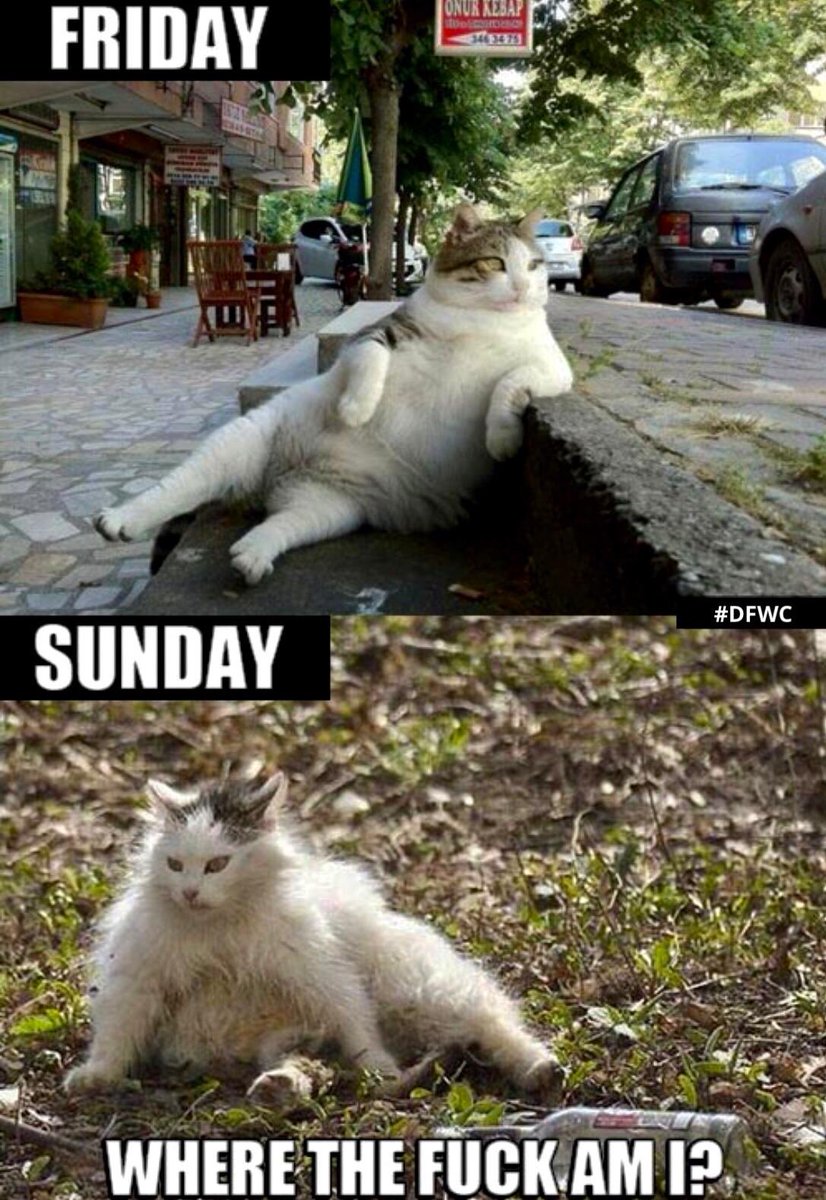 DontFWithCards's tweet photo. Relatable.

#DFWC #theultimatedrinkinggame #DrinkingGames #Cards #Sunday #Mood https://t.co/b37AZHowgI