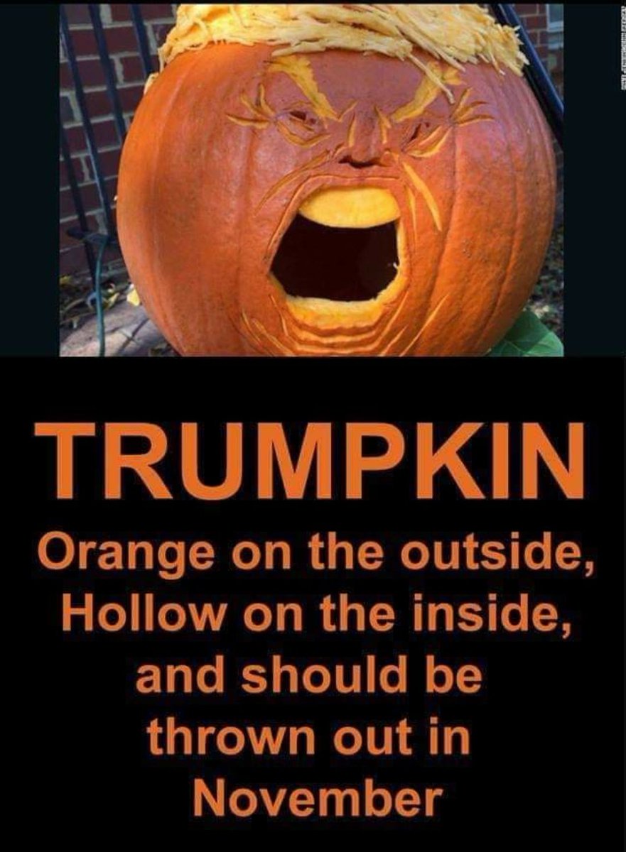 sunkfarmer's tweet image. Start the day the pumpkin 🎃  way #trumpkin